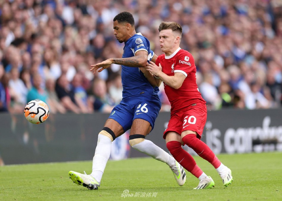 B费任意球 B费任意球